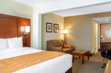 Comfort Inn & Suites - image 4