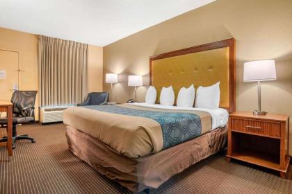 Econo Lodge Inn & Suites Foley-North Gulf Shores - image 3