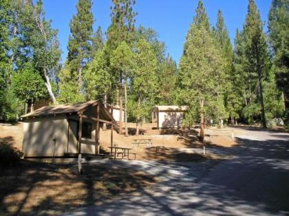 Yurts In Yosemite