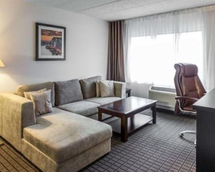 Comfort Inn & Suites Bwi Airport - image 3